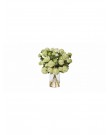 Beautiful green snowball hydrangea