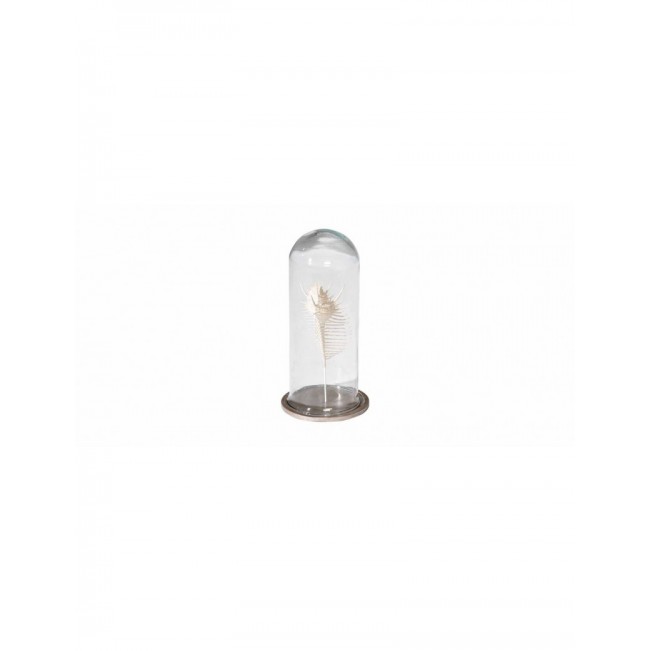 Simple resin comb shell