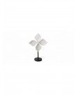 Simple white kusa flower