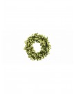 Green 30 inch jump wreath